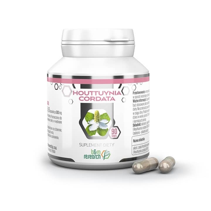 houttuynia-cordata-botamed