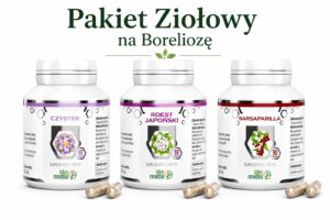 Pakiet Ziołowy na Boreliozę - Startowy (Czystek + Rdest Japoński + Sarsaparilla)