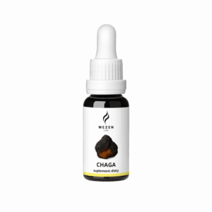 Chaga ekstrakt z owocników Błyskoporka podkorowego 20 ml